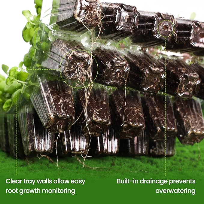 Bonviee 2-Pack Seed Starter Tray - Image 5