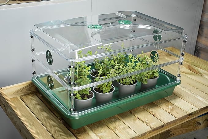 EarlyGrow Large Domed Propagator - Image 9