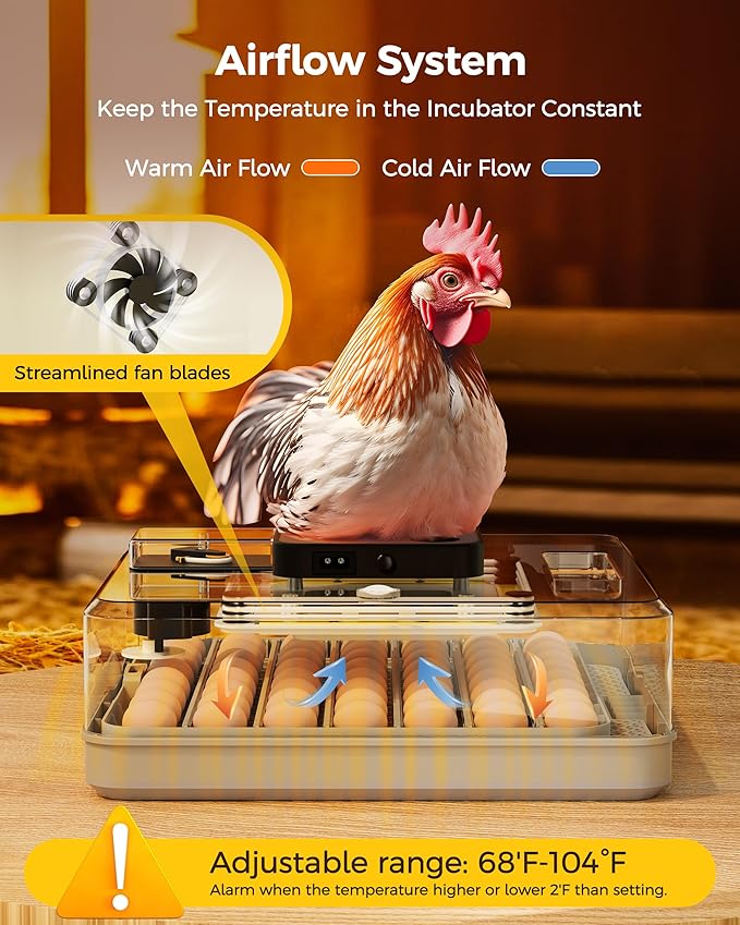48 Egg Incubator for Hatching - Image 4
