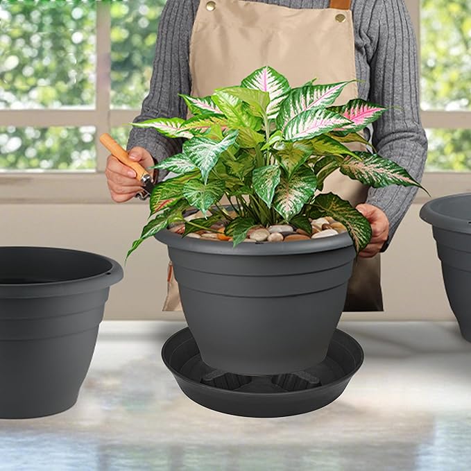4 Pack Plant Saucer 8 inch, 10 12 14 17 inch, Plant Stand Plastic Plant Saucers - Image 7