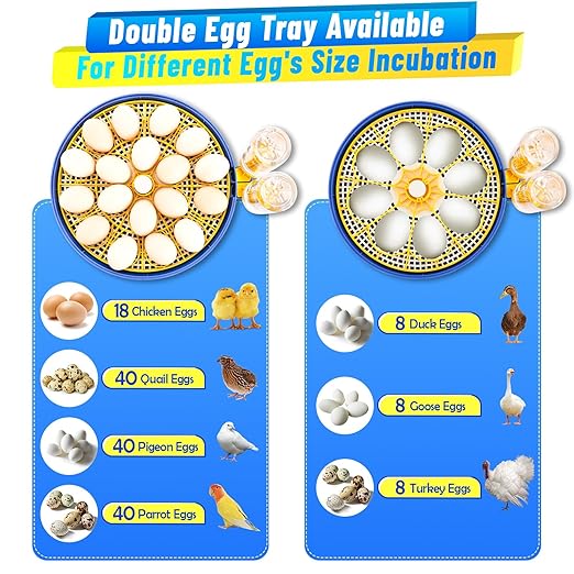 Incubator for Hatching 18 Eggs - Image 4