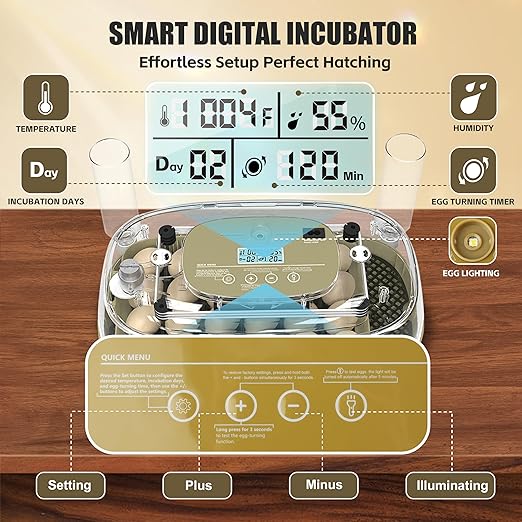 Incubators for Hatching Eggs, 24 Egg Incubator - Image 2