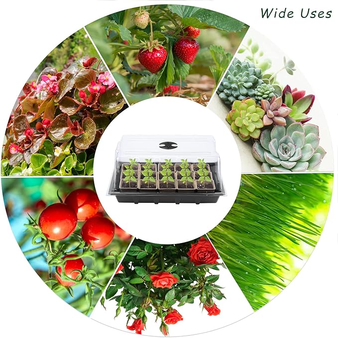 4 Pack Seed Starter Tray Kit, 120 Square Seed Peat Pots - Image 5