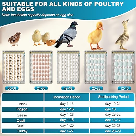 Incubators for Hatching Eggs, 36 Egg Incubator - Image 6