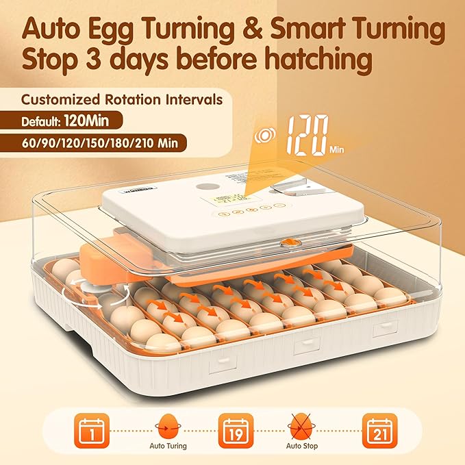Incubator for Hatching Eggs, 56 Eggs Incubator - Image 2