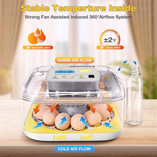 Sailnovo 12 Egg Incubators for Hatching Egg - Image 2