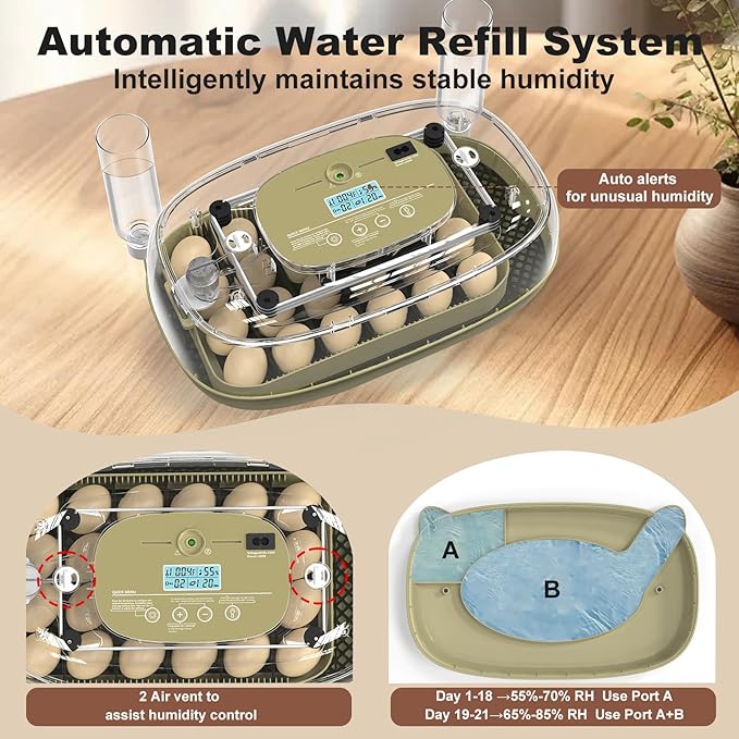 Incubators for Hatching Eggs, Smart 24 Egg Incubator - Image 5