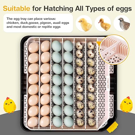 Sailnovo 48 Egg Incubator for Hatching Eggs - Image 7