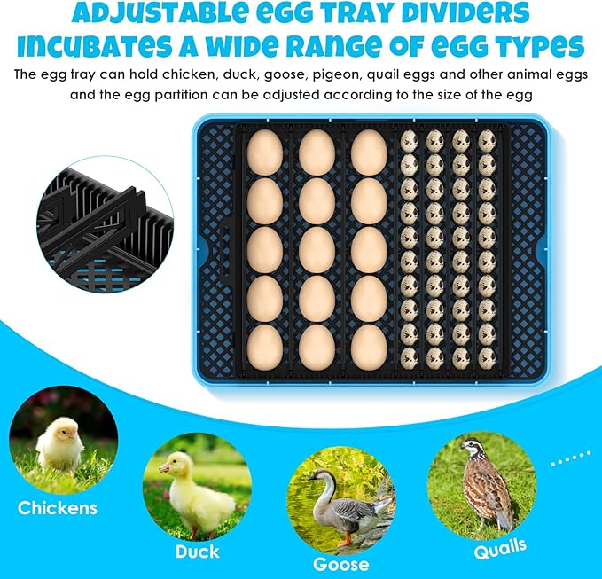 25 Egg Incubator Digital Poultry Hatcher Machine - Image 3