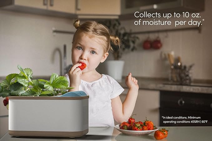 Eva-Dry Dewplanter Compact 2-in-1 Dehumidifier & Self-Watering Indoor Planter - Image 4