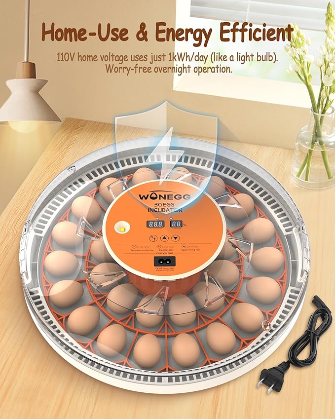 30 Egg Incubators for Hatching Eggs - Image 9