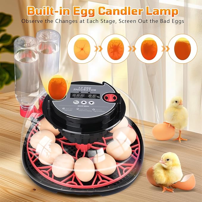 12-Egg Incubator, Automatic Egg Turning Function, Humidity Control, External - Image 2