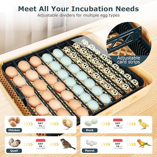Incubators for Hatching Eggs, 56 Eggs Incubator - Image 4