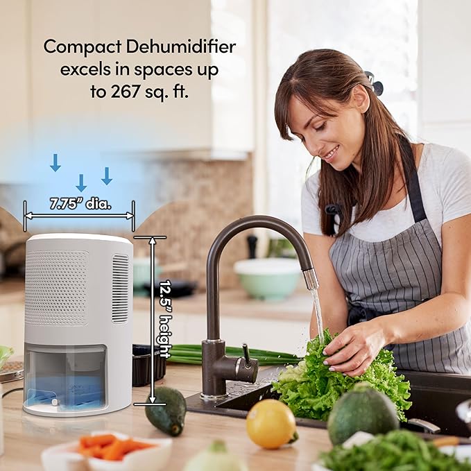 Eva-Dry EDV-2400 Compact and Powerful Dehumidifier | Eliminate Moisture | - Image 2