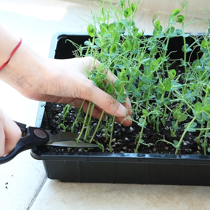 Mr. Pen- Plastic Growing Trays, 10 Pack, Plant Tray, Seed Tray, Seedling Tray - Image 9