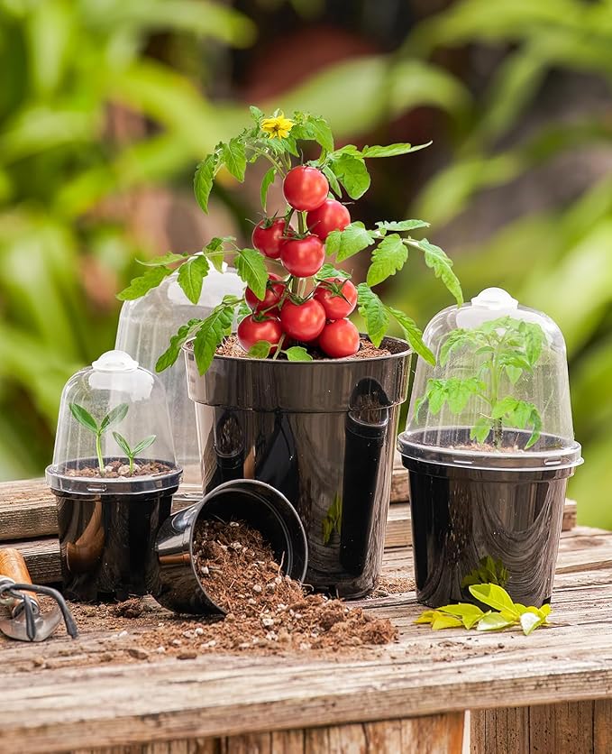 homenote Nursery Pots for Plants, 3/4/5 Inch Plant Pot for Planting - Image 2