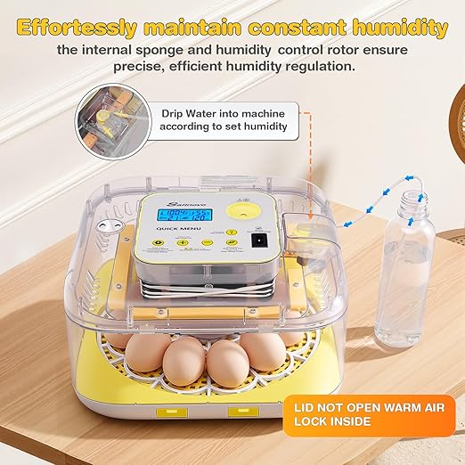 Sailnovo 12 Egg Incubators for Hatching Egg - Image 3