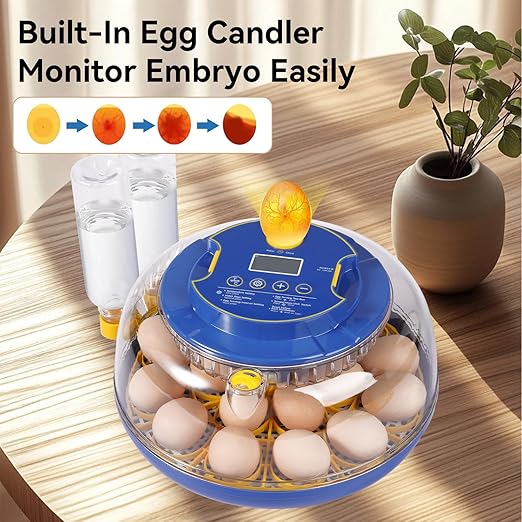 18 Egg Incubators for Hatching Eggs, Chicken Egg Incubator - Image 5