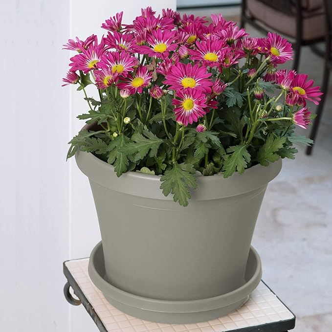 Bloem Terra Resin Saucer Tray: 6.5" Bottom Width - Image 2