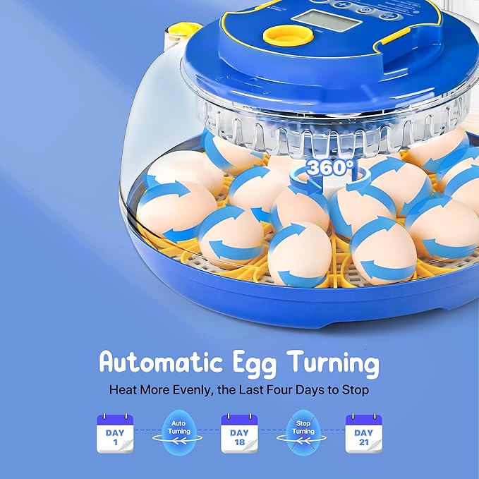 18-36 Eggs Incubators for Hatching Eggs - Image 4