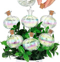 Yungyan 6 Pcs Self Watering Plant Globes Glass Cactus Insert Watering Devices by Yungyan