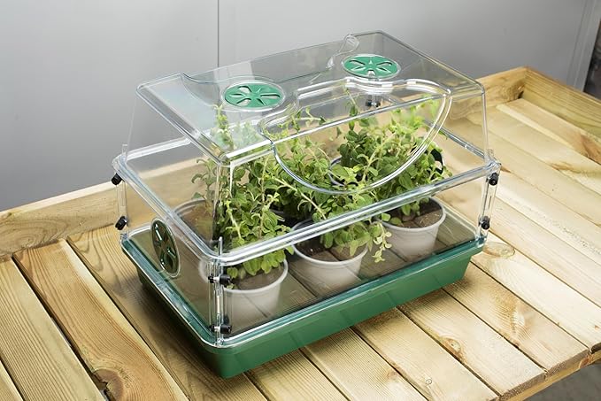 EarlyGrow Medium Seed and Herb Domed Propagator - Image 11