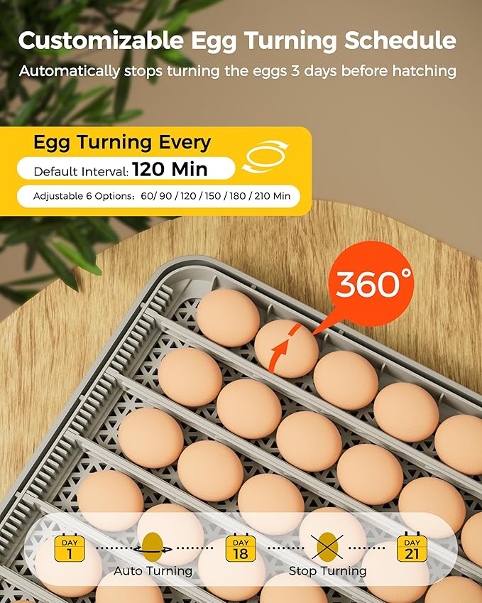 48 Egg Incubator for Hatching - Image 3