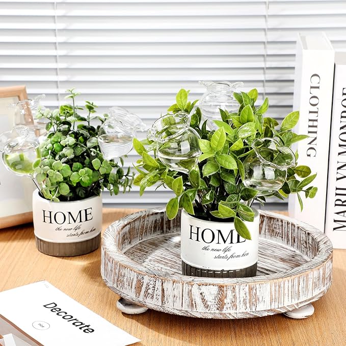 Yungyan 6 Pcs Self Watering Plant Globes Glass Cactus Insert Watering Devices - Image 6