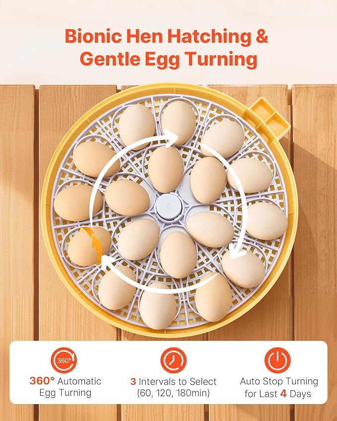 VEVOR 18 Egg Incubator, Automatic Egg Turner - Image 4