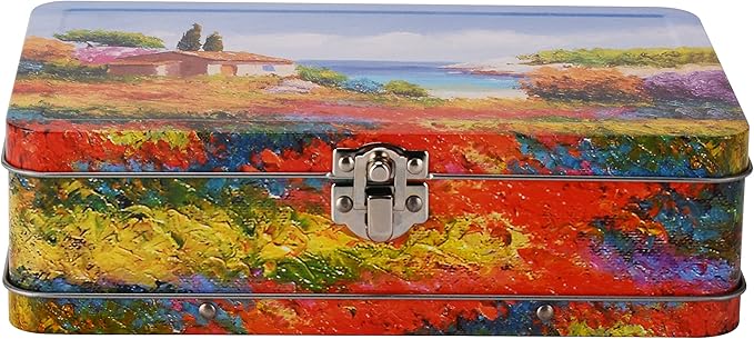 DAHO Metal Storage Box with Hinge - Image 3
