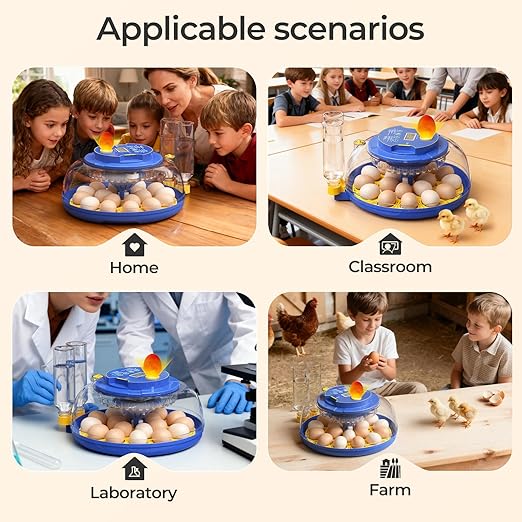 18 Egg Incubators for Hatching Eggs, 360° View - Image 8