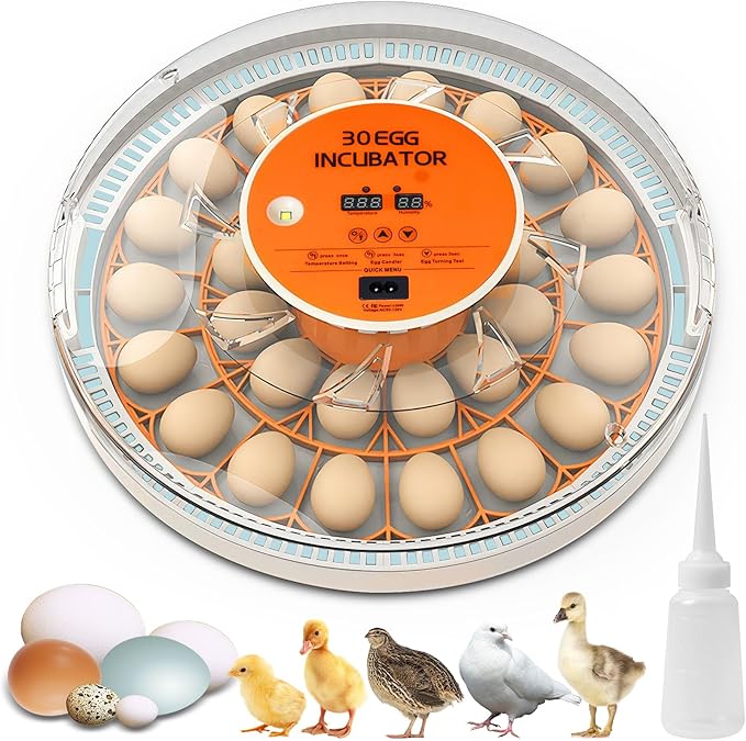 30 Egg Incubator with Automatic Egg Turning and Humidity Control, 360 Degree by Unknown