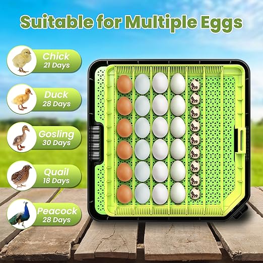 48 Egg Incubator for Hatching Eggs - Image 7