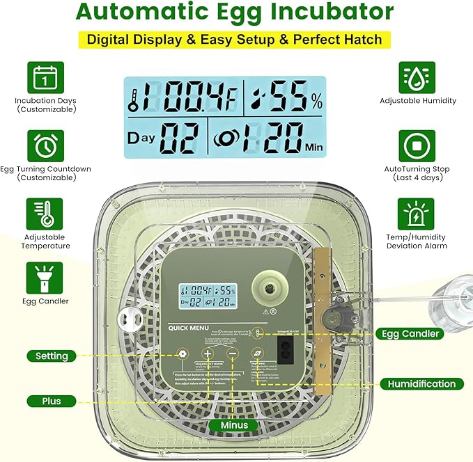 12 Egg Incubator with Automatic Turning, Auto Water Refill & Temp/Humidity - Image 5