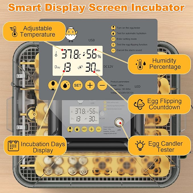 30 Egg Incubator for Hatching Eggs - Image 6