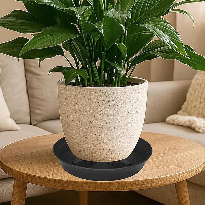 4 Pack Plant Saucer 8 inch, 10 12 14 17 inch, Plant Stand Plastic Plant Saucers - Image 6