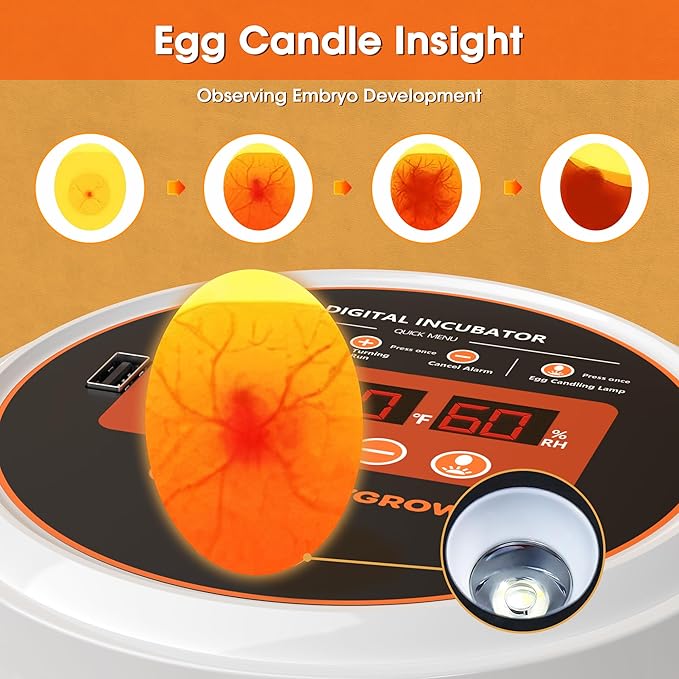 Incubators for Hatching Eggs, 12 Eggs Smart Incubator - Image 5