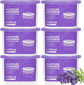 CLEVAST Moisture Absorber Boxes 6 Pack, 12 Oz Dehumidifier by CLEVAST