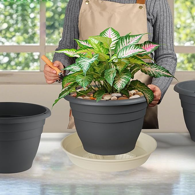 4 Pack Plant Saucer 8 inch, 10 12 14 17 inch, Plant Stand Plastic Plant Saucers - Image 5