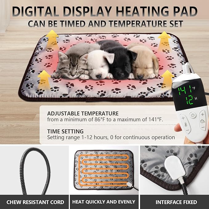 Puppy Incubator with Heating and Fan, Ideal Incubator - Image 4