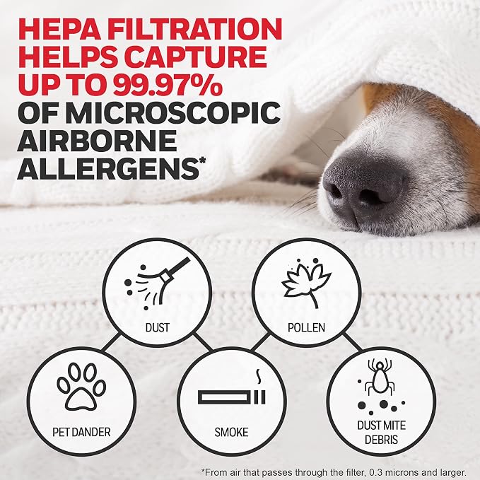 Honeywell HEPA Air Purifier Filter G, Pet Dander, and Dust - Image 3