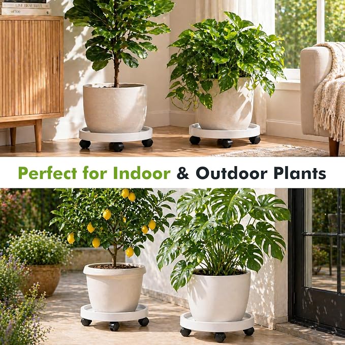 4 Packs Plant Caddy with Wheels 12" Plant Stand Potted Plant Mover Heavy Duty - Image 7