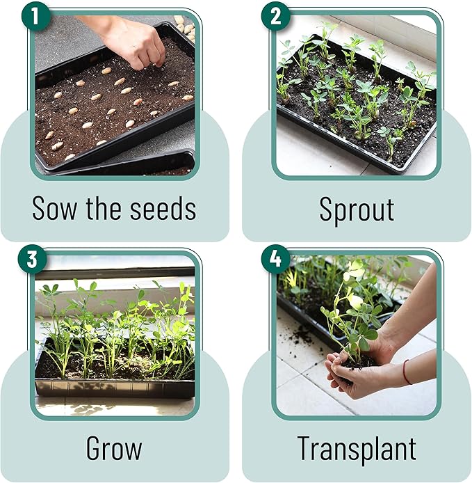 Mr. Pen- Plastic Growing Trays, 10 Pack, Plant Tray, Seed Tray, Seedling Tray - Image 7