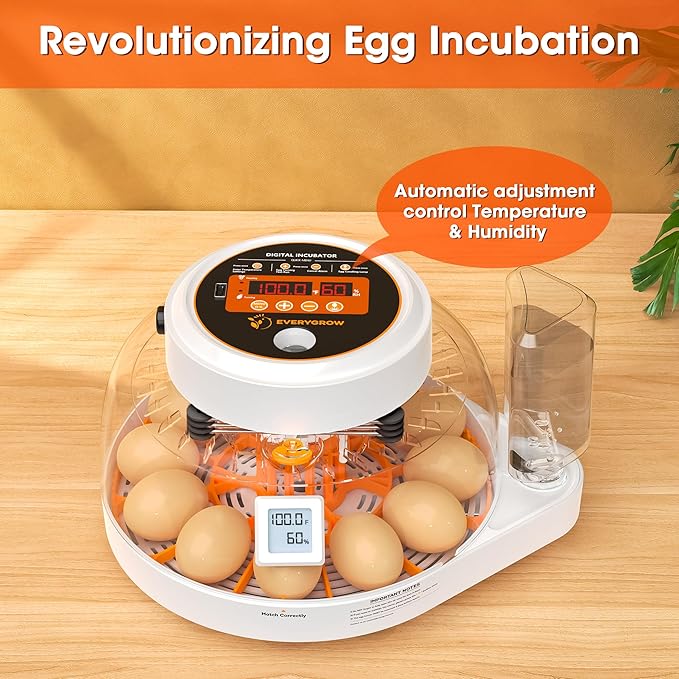 Incubators for Hatching Eggs, 12 Eggs Smart Incubator - Image 2