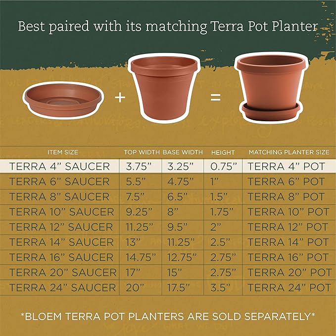 Bloem Terra Resin Saucer Tray: 6.5" Bottom Width - Image 6