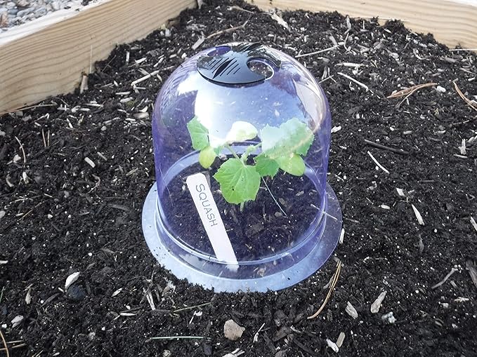 6-Pack! GrowAway Small Reusable Plastic Mini Greenhouse, Garden Cloche Dome - Image 5