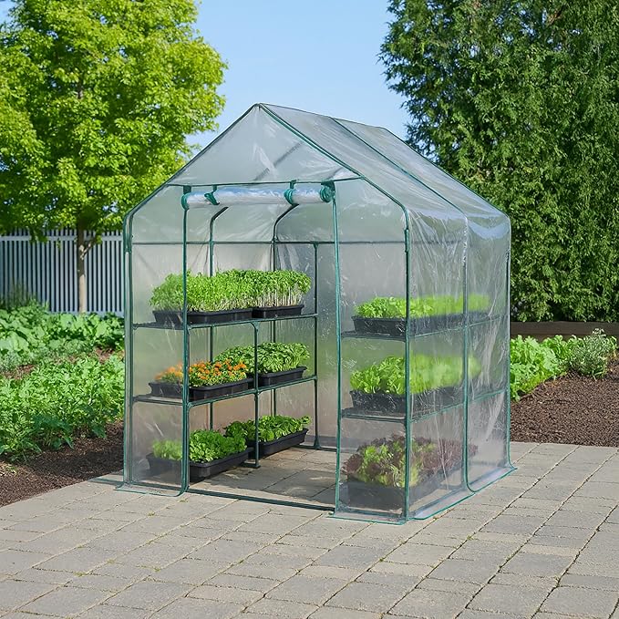 Miracle-GRO 4'8" x 4'8" x 6'5" Outdoor Mini Walk-in Greenhouse Plant Tent - Image 8
