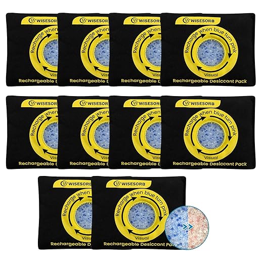 100g Reusable Silica Gel Desiccant Packs, Rechargeable Dehumidifier Moisture by Wisesorb