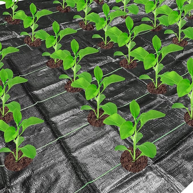 codree 13 x 6.5 Ft Garden Weed Barrier Landscape Fabric by codree