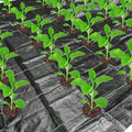 codree 26 x 6.5 Ft Garden Weed Barrier Landscape Fabric by codree